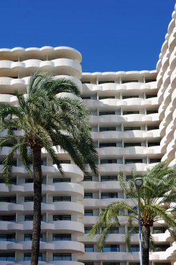 Palmiye ağaçları olan beyaz bir otel binası. Tropik tatil beldesi.