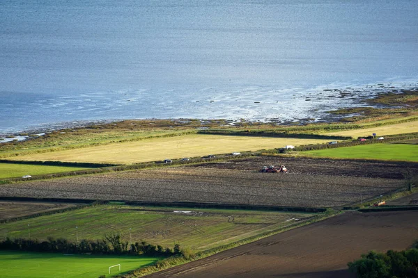 Ierse Aardappeloogst Luchtfoto Van Aardappelvelden Bij Comber County Noord Ierland — Stockfoto