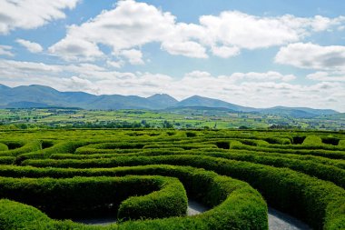 Kuzey İrlanda, Castlewellan 'daki Barış Labirenti. Arka planda yas dağları