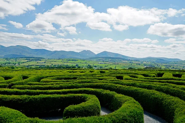Peace Maze Castlewellan Північна Ірландія Гори Задньому Плані Стокове Зображення