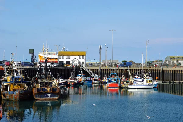 Mały Port Wiosce Rybackiej Portavogie Hrabstwie Irlandia Północna 2019 — Zdjęcie stockowe