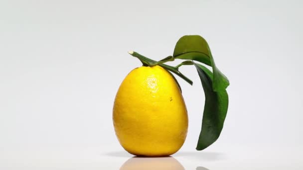Beyaz Bir Masada Yaprakları Olan Sarı Greyfurt 360 Derece Dönüyor — Stok video
