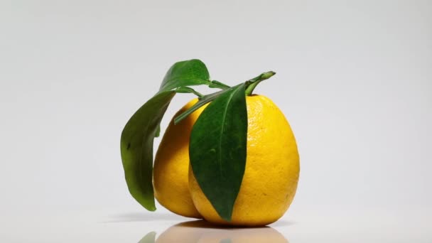 Pomelo Amarillo Con Hojas Sobre Una Mesa Blanca Rotación 360 — Vídeo de stock