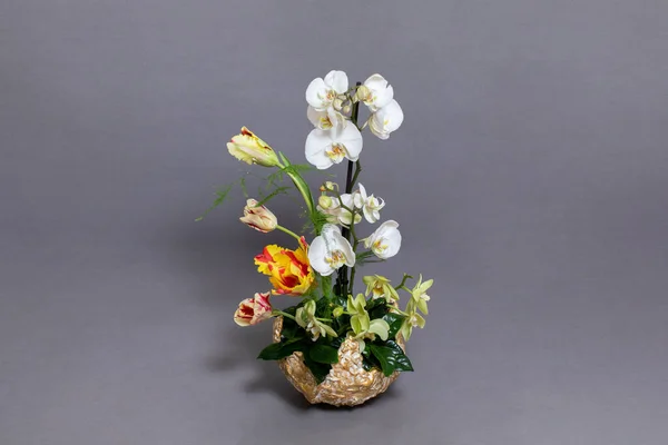 Beautiful Flower Bouquet Gray Background 고해상도 — 스톡 사진