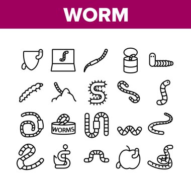 Worm Insect Animal Collection Icons Set Vector