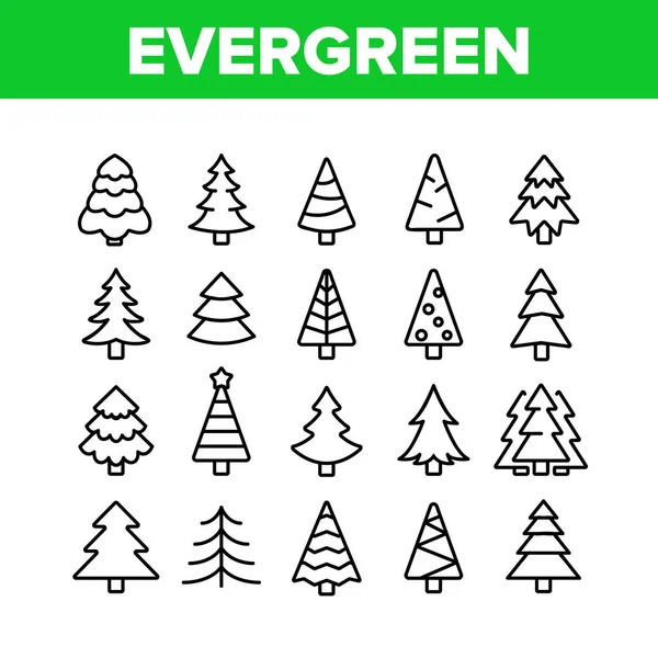 Evergreen Çam Ağacı Toplama Simgeleri Vektörü Ayarla