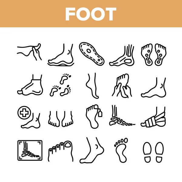 Fuß menschlicher Körper Teil Sammlung Symbole Set Vektor — Stockvektor