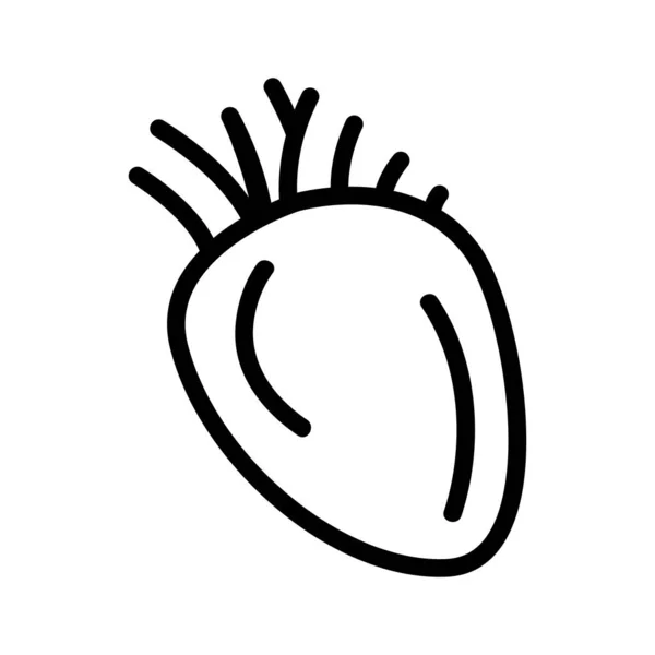 Vetor ícone de órgão cardíaco. Isolado contorno símbolo ilustração — Vetor de Stock