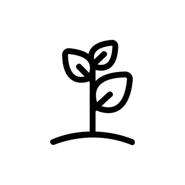 Tavaszi palánta ikon vektor. Elszigetelt körvonalszimbólum illusztráció — Stock Vector