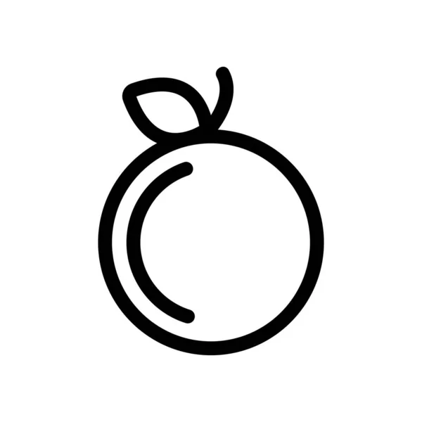 Vektor ikon Apple. Izolovaný obrysový symbol ilustrace — Stockový vektor