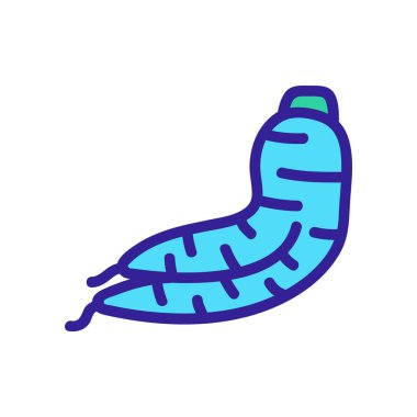 Kök ginseng ikon vektörü. İzole edilmiş kontür sembolü gösterimi