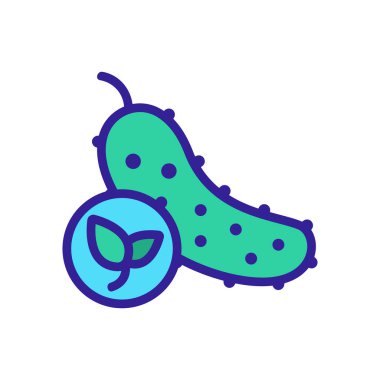 Doğal salatalık ikonu vektörü. İzole edilmiş kontür sembolü gösterimi