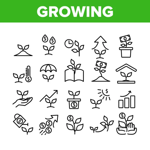 Vector de conjunto de iconos de colección de plantas de dinero creciente — Archivo Imágenes Vectoriales