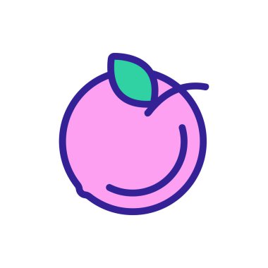 Şeftali ikonu vektörü. İzole edilmiş kontür sembolü gösterimi