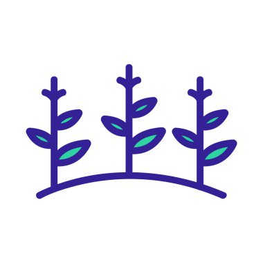 Mısır yiyeceği ikonu vektörü. İzole edilmiş kontür sembolü gösterimi