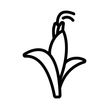 Mısır yiyeceği ikonu vektörü. İzole edilmiş kontür sembolü gösterimi