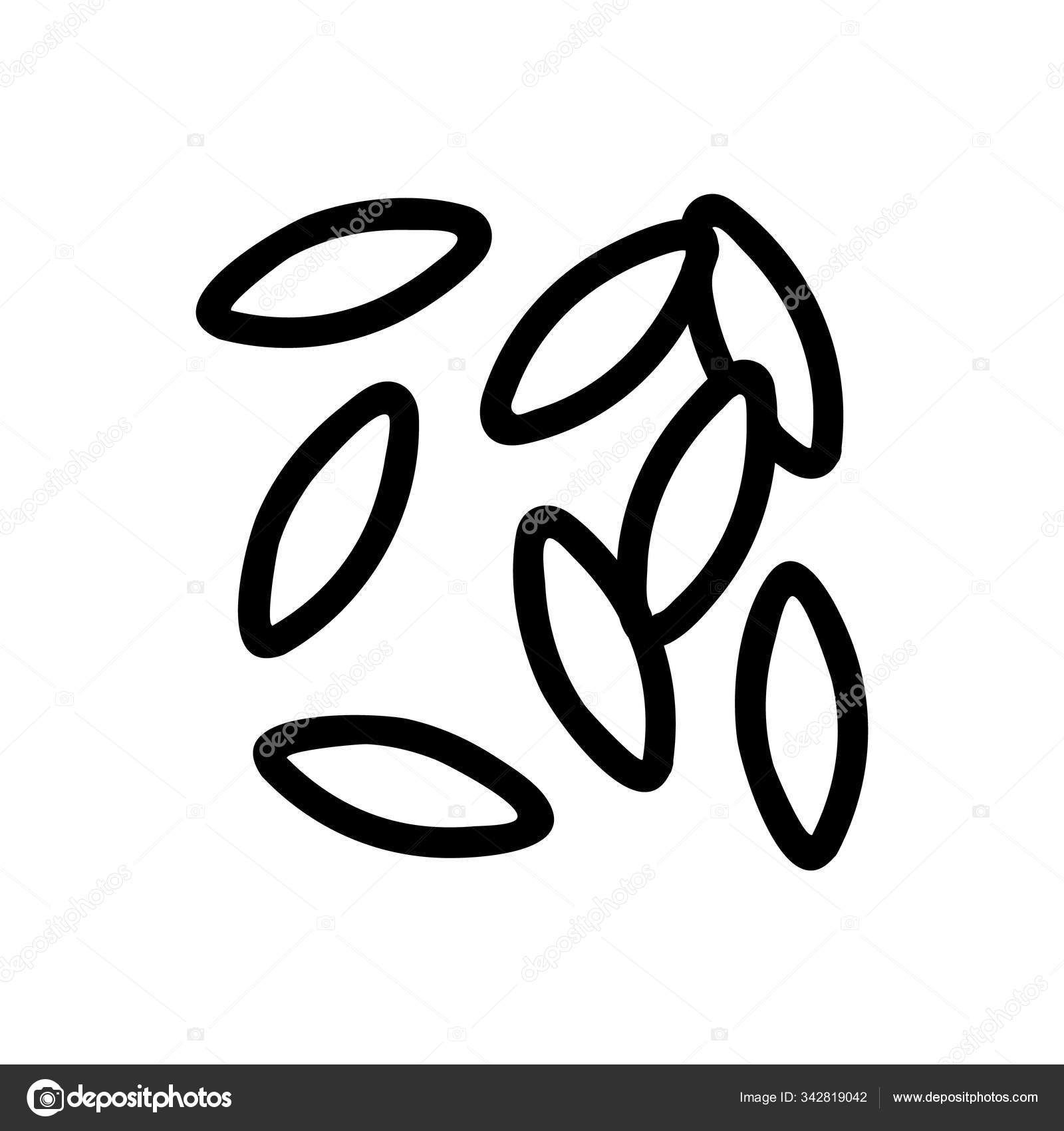 Acuarelas fáciles de Procreate: crea ilustraciones botánicas en tu iPad |  Sandra Mejia | Skillshare, image size:1600x1700