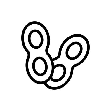 Fındık ikonu vektörü. İzole edilmiş kontür sembolü gösterimi