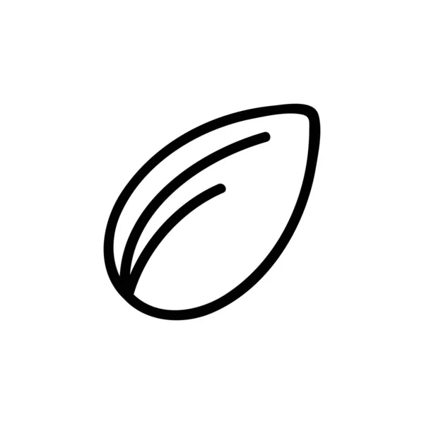 Fındık ikonu vektörü. İzole edilmiş kontür sembolü gösterimi — Stok Vektör