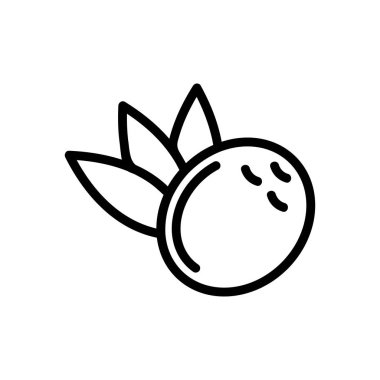 Hindistan cevizi ikonu vektörü. İzole edilmiş kontür sembolü gösterimi