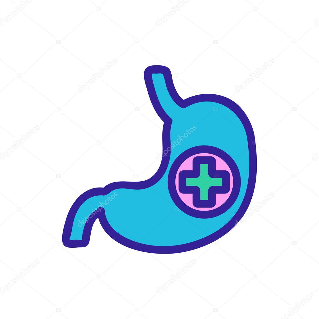 stomach icon vector. Isolated contour symbol illustration