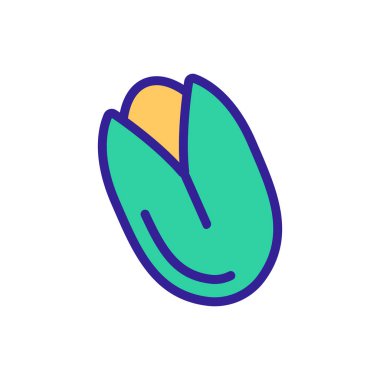 Fındık ikonu vektörü. İzole edilmiş kontür sembolü gösterimi