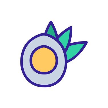 Hindistan cevizi ikonu vektörü. İzole edilmiş kontür sembolü gösterimi