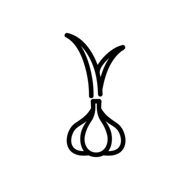 Sarımsak ikonu vektörü. İzole edilmiş kontür sembolü gösterimi