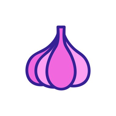 Sarımsak ikonu vektörü. İzole edilmiş kontür sembolü gösterimi