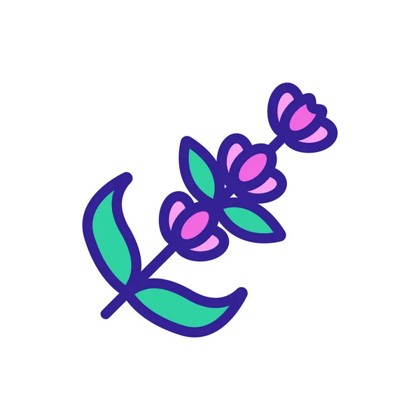 Lavendelblüten Icon Vektor. Isolierte Kontursymboldarstellung — Stockvektor