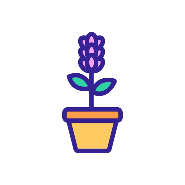 Wektor ikony kwiatów lawendy. Ilustracja izolowanego symbolu konturu — Wektor stockowy
