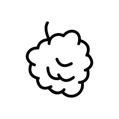 Ahududu ikonu vektörü. İnce çizgi işareti. İzole edilmiş kontür sembolü gösterimi