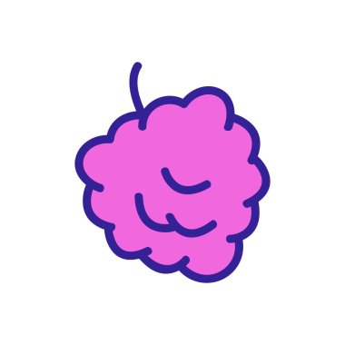 Ahududu ikonu vektörü. İnce çizgi işareti. İzole edilmiş kontür sembolü gösterimi