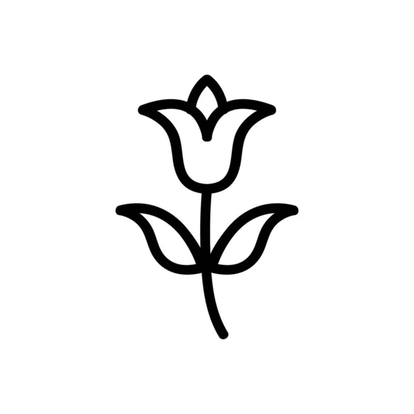 Διάνυσμα Εικόνας Λουλουδιών Λεπτή Γραμμή Μεμονωμένη Απεικόνιση Συμβόλων Περιγράμματος — Διανυσματικό Αρχείο