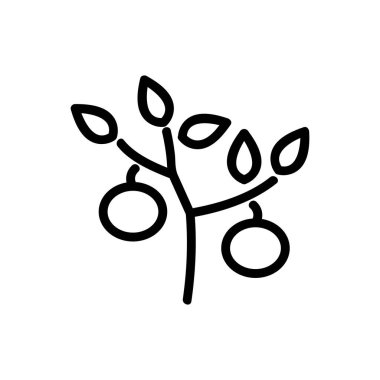 Domates ikonu vektörü. İnce çizgi işareti. İzole edilmiş kontür sembolü gösterimi