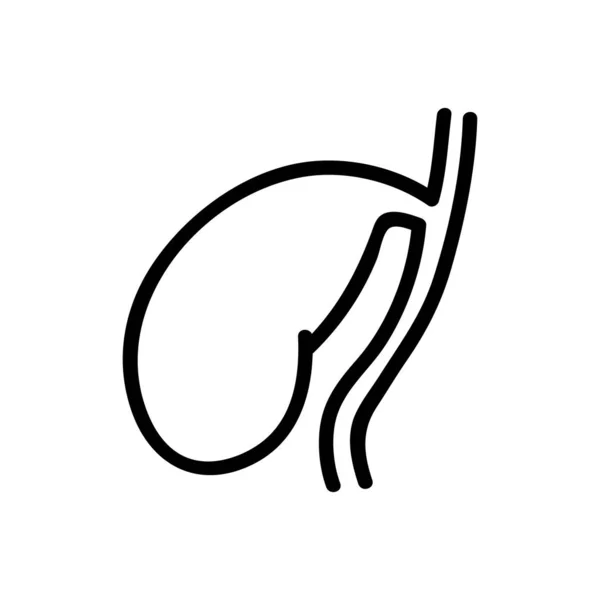 脾臓アイコンベクトル 細い線の記号 独立した輪郭シンボルイラスト — ストックベクタ