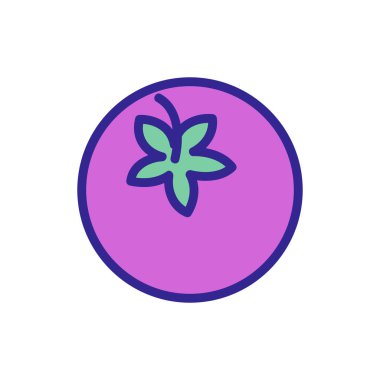 Domates ikonu vektörü. İnce çizgi işareti. İzole edilmiş kontür sembolü gösterimi