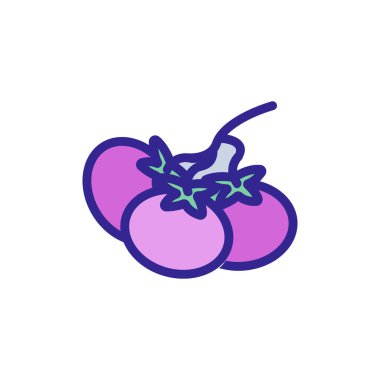 Domates ikonu vektörü. İnce çizgi işareti. İzole edilmiş kontür sembolü gösterimi