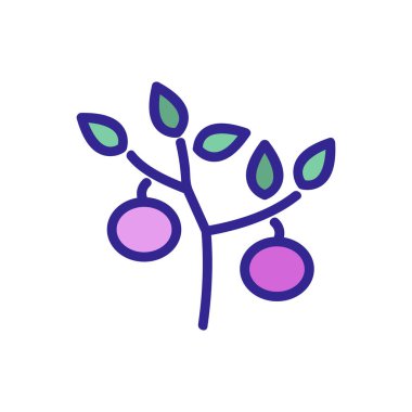 Domates ikonu vektörü. İnce çizgi işareti. İzole edilmiş kontür sembolü gösterimi