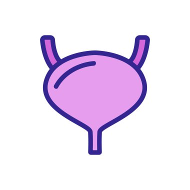 İdrar torbası ikon vektörü. İnce çizgi işareti. İzole edilmiş kontür sembolü gösterimi