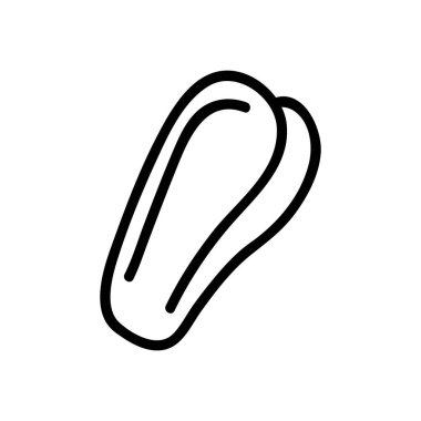 Güzel kabuk ikonu vektörü. İnce çizgi işareti. İzole edilmiş kontür sembolü gösterimi