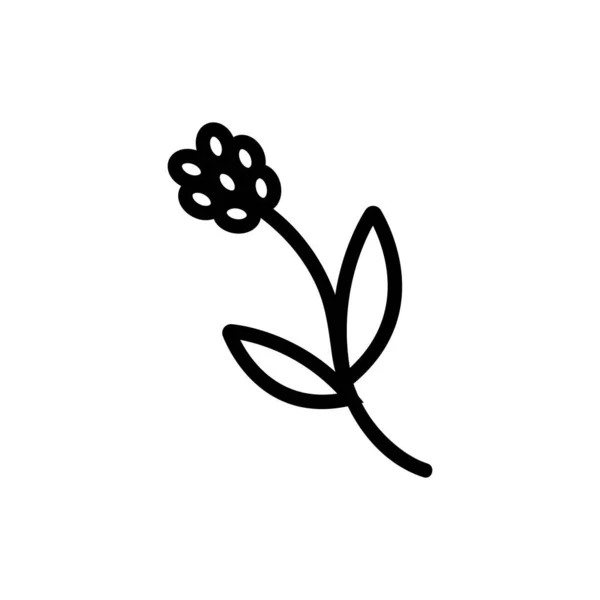 Редкий Вектор Иконок Растений Знак Редкого Растения Иллюстрация Изолированного Контура — стоковый вектор