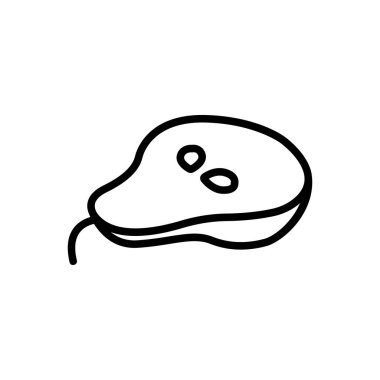 armut meyve ikonu vektörü. Meyve armudu. izole edilmiş sınır sembolü çizimi