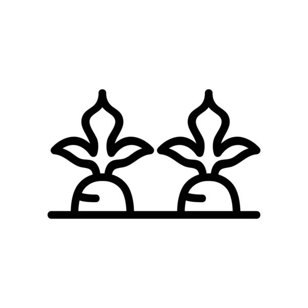 Morötter Trädgårdsikonens Vektor Morötter Trädgårdsskylten Isolerad Kontur Symbol Illustration — Stock vektor