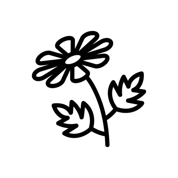 Chrysanthème Icône Vecteur Signe Chrysanthème Illustration Symbole Contour Isolé — Image vectorielle