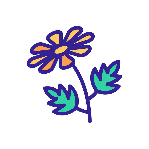 Chrysanthemen Symbolvektor Chrysanthemen Zeichen Farbe Isoliert Symbol Illustration — Stockvektor