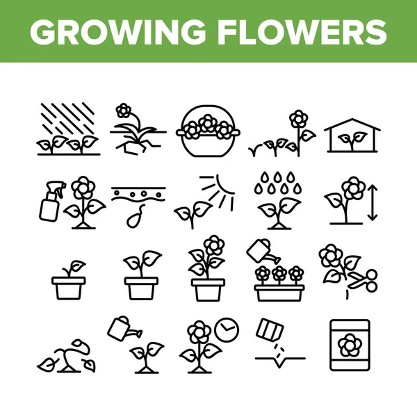 生长花卉植物收集图标设置向量 在温室和盆栽 培育和收获概念线形象形文字中种植花卉 单色光标图解 — 图库矢量图片