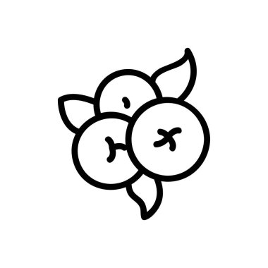 yaban mersini bitki ikonu vektör çizimi çizimi