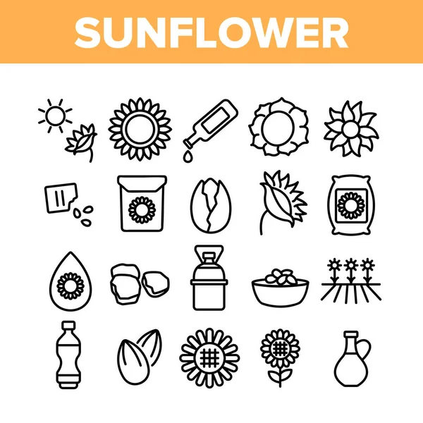 Colección de productos de girasol Iconos Set Vector — Archivo Imágenes Vectoriales