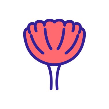 Gelincik bitkisi ikonu vektör çizimi çizimi